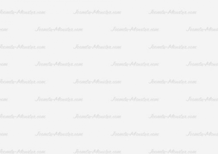 Sed lobortis tincidunt in.